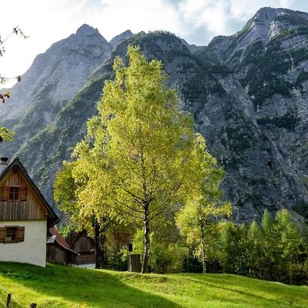Cottages Kravanja Трента Екстериор снимка