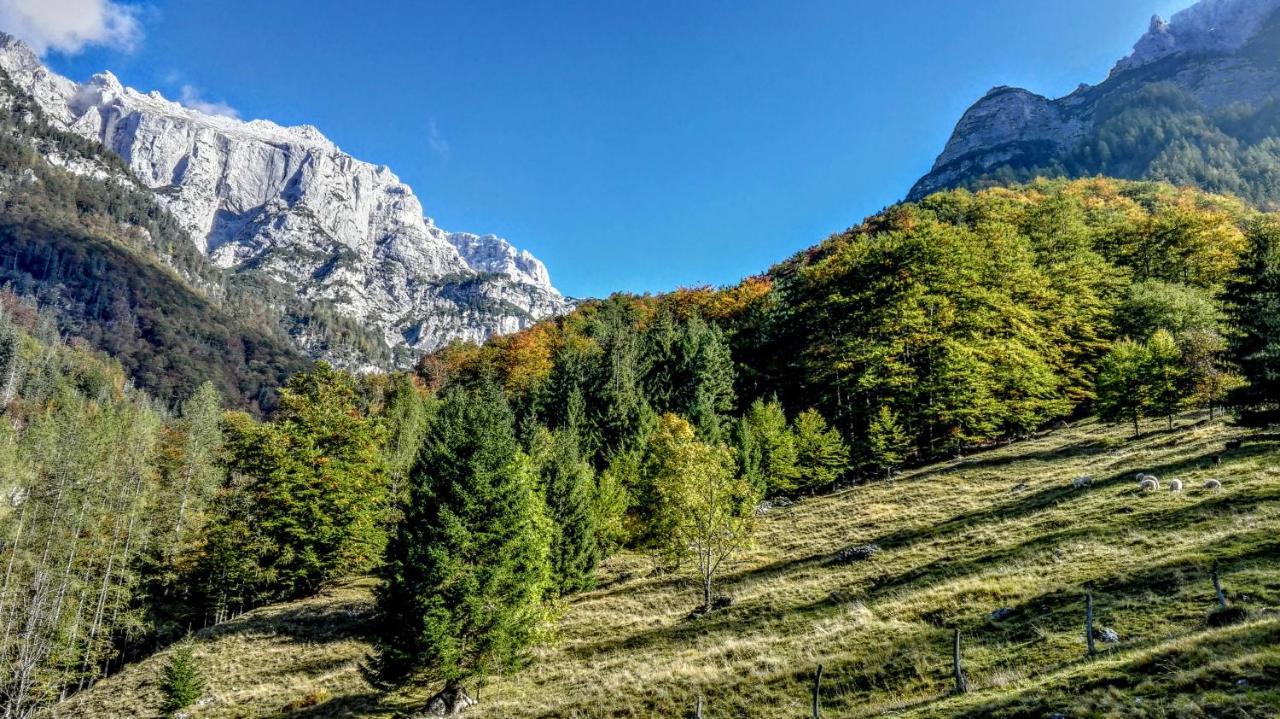 Cottages Kravanja Трента Екстериор снимка